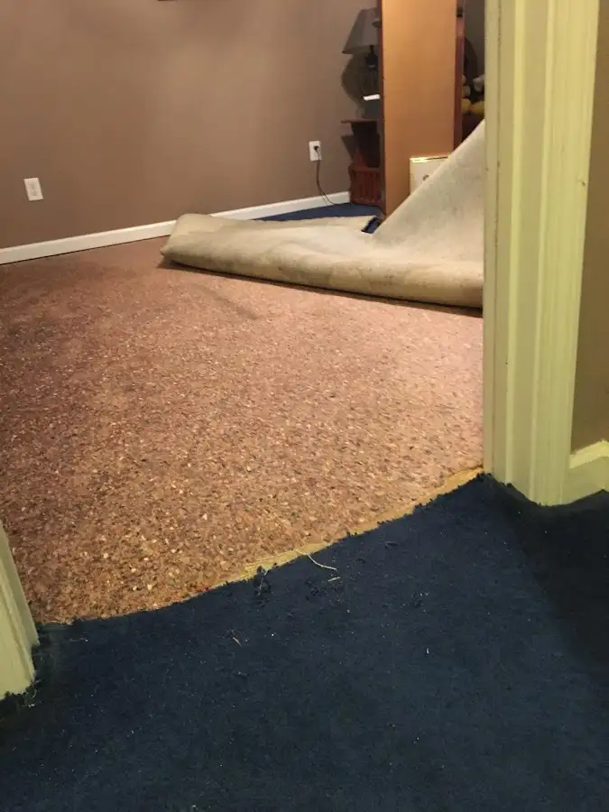 Carpet pad removal revealing water damage during Drying & Dehumidification in Bernalillo